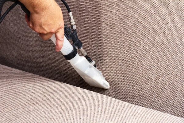 Professional cleaning sofas Stock Photo