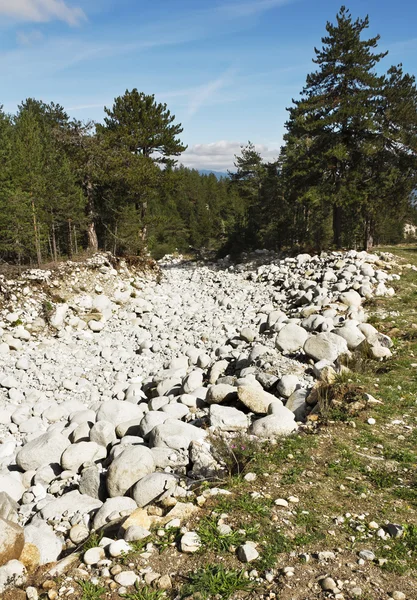 Πέτρα ποταμού στο Μπάνσκο, Βουλγαρία — Φωτογραφία Αρχείου