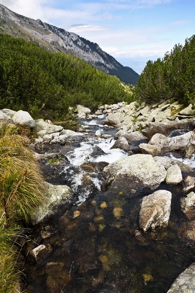 Stein Fluss in Bansko, Bulgarien — Stockfoto