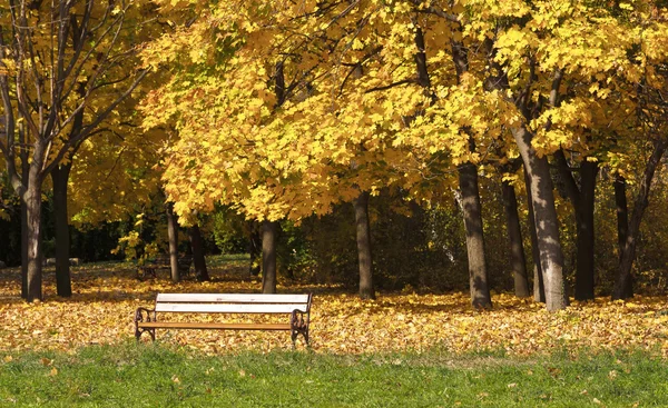 Scenic view of autumn park — Stock Photo, Image