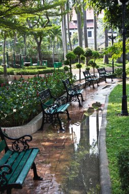 Bangkok, Tayland. Yağmur sonra Park.