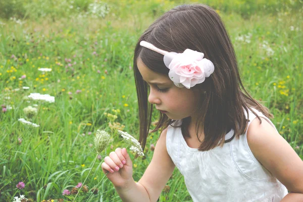 Pretty little girl smelling wild flower in nature — Stock Photo, Image