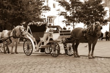 Montreal, Kanada - vintage sepya caleche atlı arabaları 