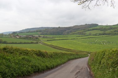 Gür tarım arazileri manzara, Surrey, İngiltere