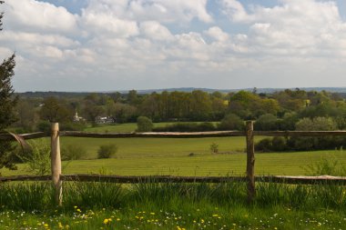 Gür tarım arazileri ve çit Surrey'deki / daki doğal kırsal manzara