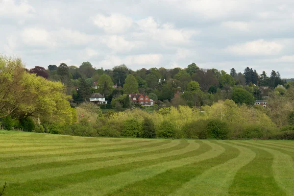 Escénica exuberante paisaje rural en Surrey, Inglaterra —  Fotos de Stock