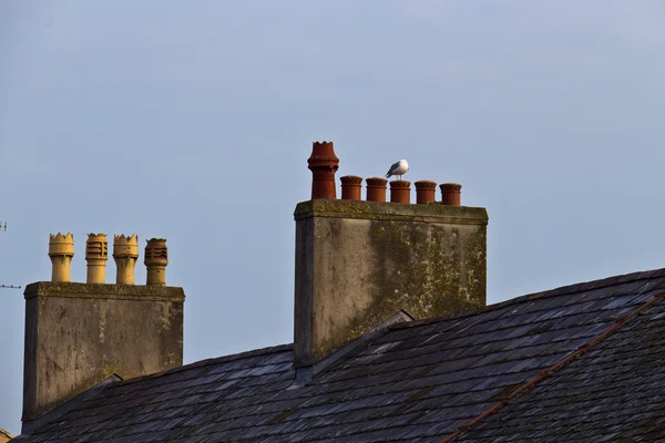 Telhado e chaminés de edifício britânico velho — Fotografia de Stock