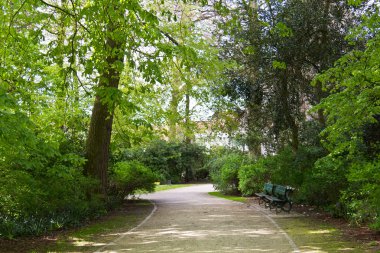 Ormanlık parkta yürüyüş yolu