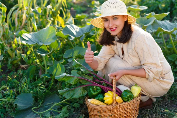 Mujer Sosteniendo Una Cesta Con Una Cosecha Verduras Mano —  Fotos de Stock