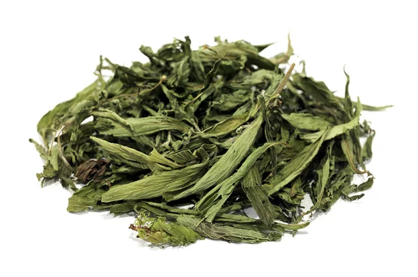 Kurutulmuş Stevia yaprakları — Stok fotoğraf