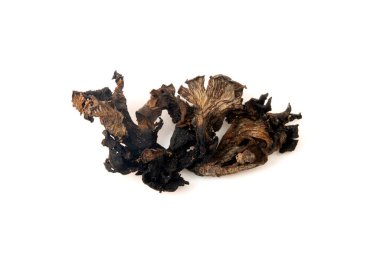 Kurumuş mantar boynuzu (Craterellus cornucopioides) beyaz arka planda