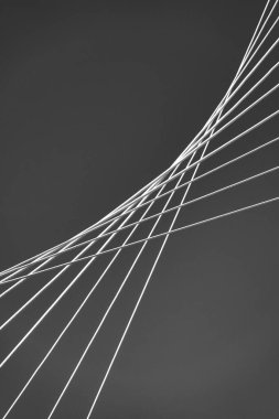 Black and white photo of the cables of a cable stayed bridge