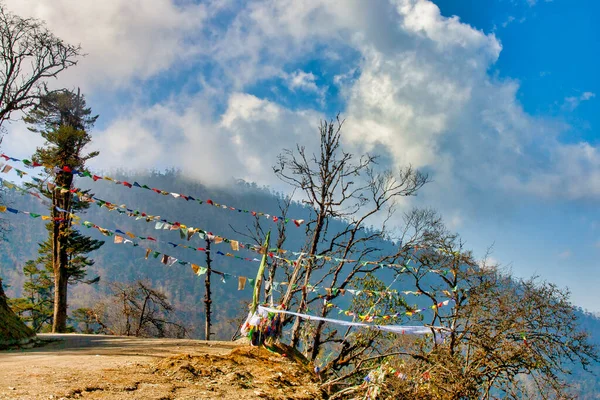 Пеле Фабрегас Черных Горах Округ Вангдю Бхутан — стоковое фото
