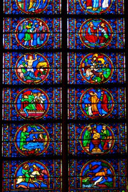 Notre-Dame de Paris 'te lekeli cam pencere, Paris, Fransa