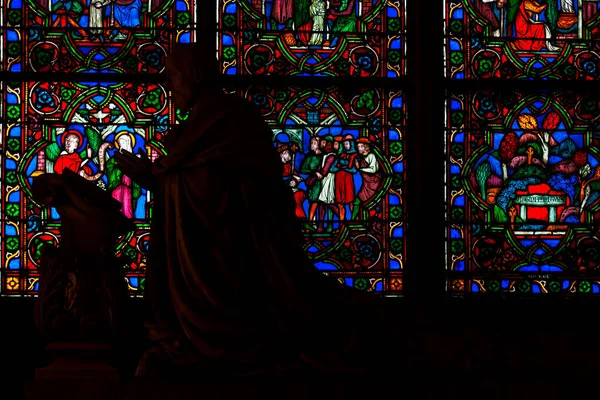 Vitrail Des Pelerinages Notre Dame Paris Paris Francia — Foto de Stock