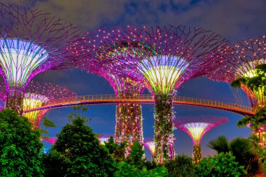 Singapur 'un körfez kenarındaki bahçelerdeki Supertree Korusu