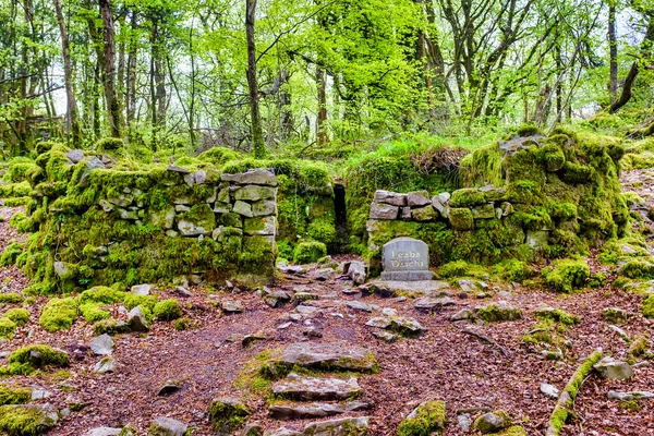 Zamek Finvarra Cnoc Meadha Hrabstwo Galway Irlandia — Zdjęcie stockowe