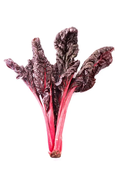 A Red Chard — Stock Photo, Image