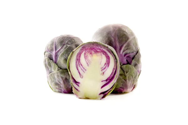 Purple brussels sprouts — Stock Photo, Image