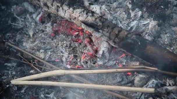 Carvão que arde no grelhador. Um incêndio moribundo. Fogo vivo. — Vídeo de Stock