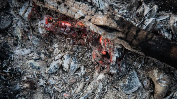 Ateşte közler. Ateşe kuru, ince dallar eklendi.
