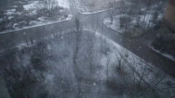 La première neige recouvre le sol gris, la route et les arbres. Automne-hiver — Video