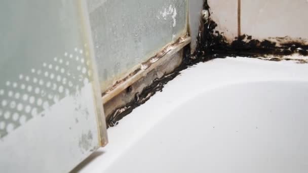 A szilikon tömítő penészes. Penész a zuhanyfülkében. Páratartalom és nedvesség — Stock videók