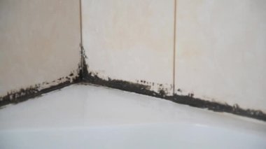Eldivenli bir el küf spreyi püskürtür. Mantar, duş kabinindeki silikon macunda başladı. Dezenfeksiyon ve temizlik