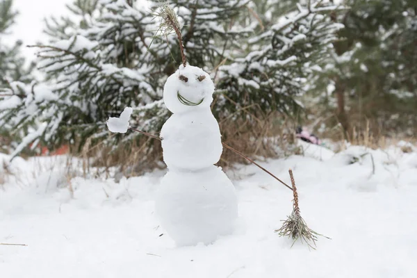 雪に覆われた森の中には笑顔の雪だるまが立っている スノーマンは 一方で 彼はトウヒの枝を持っているように示しています — ストック写真