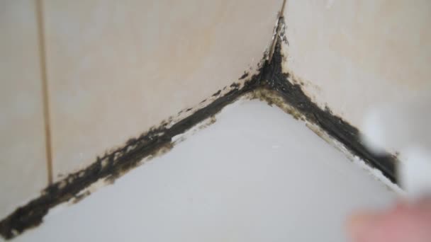 Uma mão enluvada pulveriza o controle de bolor. O fungo começou na massa de silicone no chuveiro. desinfecção e limpeza — Vídeo de Stock
