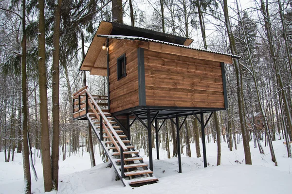 Cozy tree house. Among the trees in the winter forest house made of wood