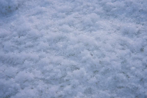 Fundo, textura de neve fresca caída. Flocos de neve de perto. A época de inverno do ano — Fotografia de Stock