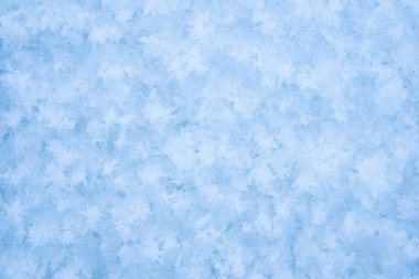 Arka plan, taze kar dokusu. Kar taneleri yakın plan. Yılın kış zamanı.