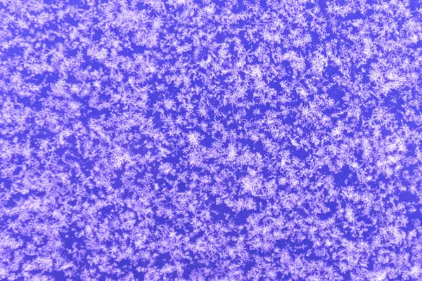 Bakgrund, textur av nyfallen snö. Snöflingor närbild. Vintertid på året — Stockfoto