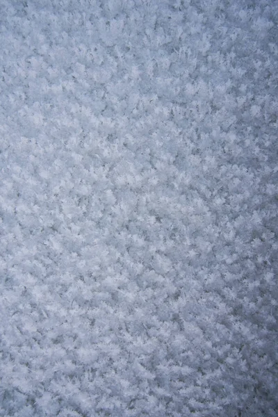 Tło, tekstura świeżego spadającego śniegu. Płatki śniegu z bliska. Zimowa pora roku — Zdjęcie stockowe
