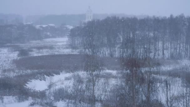Krajobraz: spokojne opady śniegu, pokrywające ziemię i drzewa. Zimny sezon, opady śniegu. — Wideo stockowe
