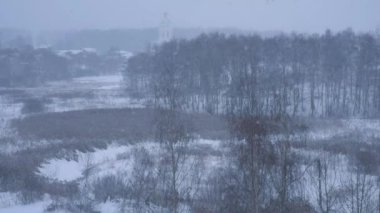 Manzara: sakin kar, zemini ve ağaçları kaplıyor. Soğuk mevsim, kar yağışı.