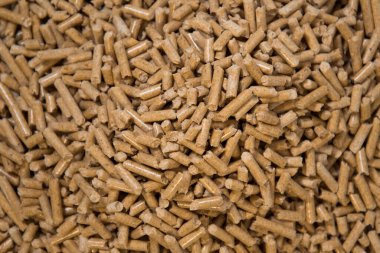 Kedi kumu için ahşap çöp. Topaklar kapanıyor. Yeşil yaklaşım kavramı