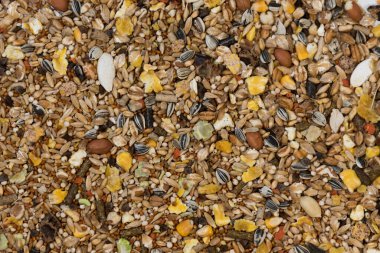 Evcil hayvanları beslemek için mısır gevreği karışımı. Yakın çekim, üst görünüm