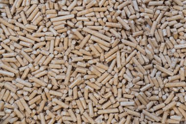 Kedi kumu için ahşap çöp. Topaklar kapanıyor. Yeşil yaklaşım kavramı