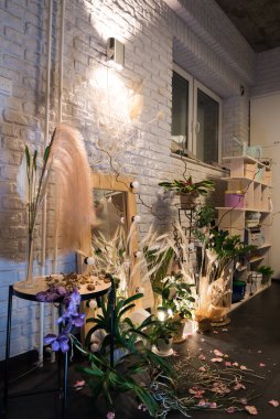 Ofiste ya da dairede duvar süslemesi. Canlı ve kurumuş bitkilerle iç dekorasyon. Çevre dostu köşe. Alacakaranlık ve avlu ışığı