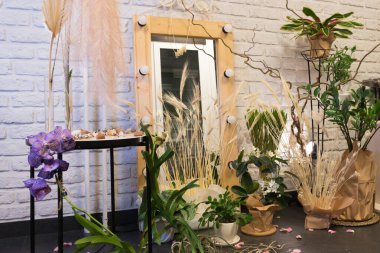 Ofiste ya da dairede duvar süslemesi. Canlı ve kurumuş bitkilerle iç dekorasyon. Çevre dostu köşe. Alacakaranlık ve avlu ışığı