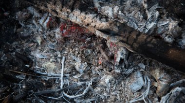 Izgarada yanan kömürler. Ölmekte olan bir ateş. Canlı ateş.