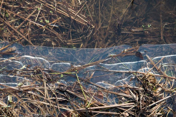 La structure de la flaque gelée, vue de dessus. Dessin naturel abstrait — Photo