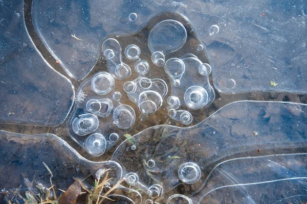 Structure de glace avec des cercles d'air. Noeud abstrait naturel, tons bleus — Photo