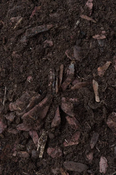 Contexte, texture du sol pour les orchidées. Vue de dessus du grung fertile. Terrain avec éléments en bois et écorce d'arbre — Photo