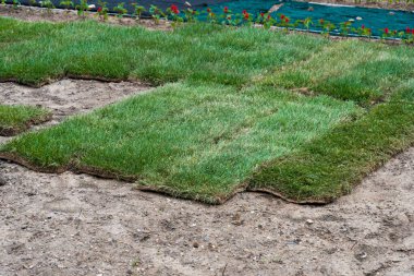 Ekmek için hazırlanmış yeşil çimen ruloları. Bereketli toprak yığını. Peyzaj tasarımı, bölgenin düzenlenmesi.