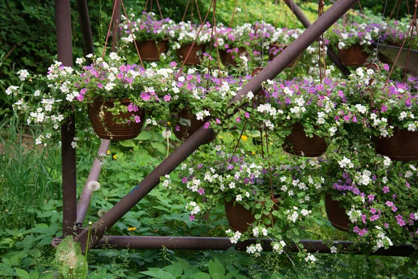 Metall båge med korgar av blommor. Inredningselement. Landskapsdekoration, landskapsarkitektur — Stockfoto