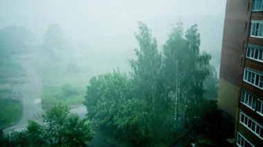 Şiddetli bir kasırga uzun yeşil ağaçları sallar. Huş ağaçları rüzgar ve yağmur altında bükülür. Şehirde kötü hava var.