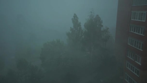 Un violento huracán mece árboles verdes altos. Los abedules se doblan bajo la embestida del viento y la lluvia. Mal tiempo en la ciudad — Vídeo de stock